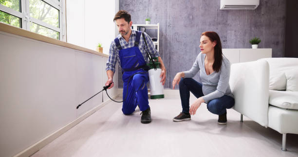 Best Indoor Pest Control  in Carlinvle, IL